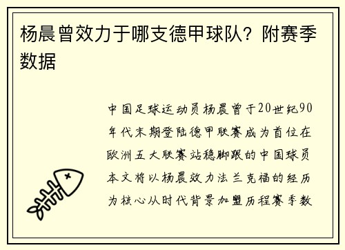 杨晨曾效力于哪支德甲球队？附赛季数据