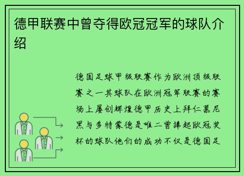 德甲联赛中曾夺得欧冠冠军的球队介绍